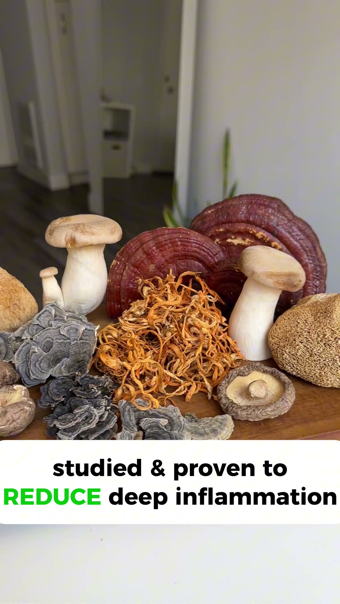 Mushroom Coffee from RYZE